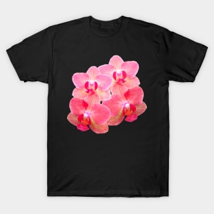 orchid floral orchids flower tendril T-Shirt